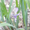 꽃집민박 이미지