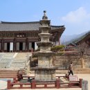 보불로(동) 이미지