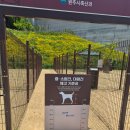 놀이터문구 | 원주천댐 "강아지 집사님들 주목!" 반려견놀이터 방문 솔직후기