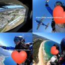 뉴스카이(주) | 호주 시드니 울릉공 스카이다이빙 추천 가격, 예약 방법, 번지점프랑 비교 내돈내산 후기