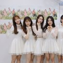 비밀정원 이미지