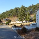 아리바우길 이미지