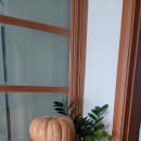 ☆~ 아파 죽겠다 하면서도 ~ 이미지