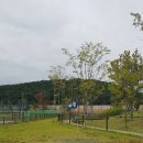 안양새물공원 이미지