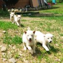 소리산스토리 이미지