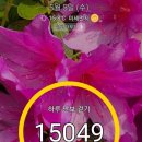 금악리야구장 야구장 이미지