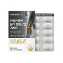 엠에스엔 이미지