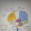 슬기로운 뇌과학 생활 이미지