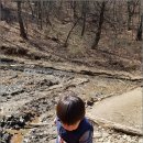 자연속으로 이미지