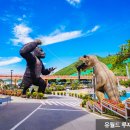 안심산길 이미지