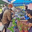 연수구립전통예술단 이미지