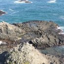 양남주상절리 이미지