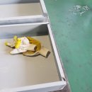 순천-28호 이미지