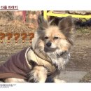 베테랑목장 이미지