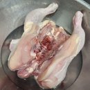 꼬꼬 한마리 이미지