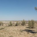 제이농장 이미지