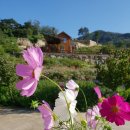 훈이네펜션 이미지