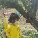 구지농장 이미지