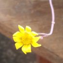 천보농장 이미지