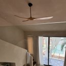 더 비치하우스 이미지