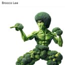 에이엔드앤 | 일상