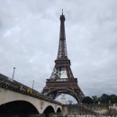 호텔 세느 | [38일 가족여행] 🇫🇷 🇫🇷 파리 여행의 필수 코스인 세느강 유람선 &amp; 에펠탑 전망대 후기