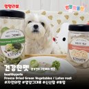 건강한 펫 이미지