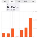 도미노피자철원점 | 추석연휴 6일
