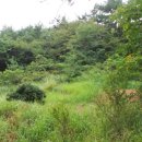 남해-293 이미지