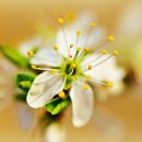 시간을 즐기다 이미지