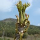 순이농장 이미지