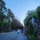 풍경공원 화장실 | 서울 가을 명소 서대문구 마포구 하늘공원 억새밭 산책 후기