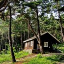 숲속의집 이미지