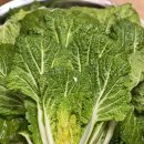 구억농장 이미지