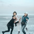 투즈