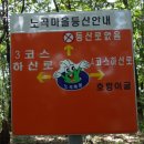 서화08 이미지