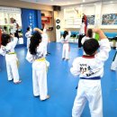 차오름 태권도 교육관 이미지