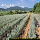 분토마을회관 이미지