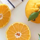 누리상회 이미지