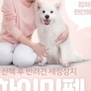 완주군 반려동물 놀이터 이미지