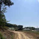 앞골농원 | 단체캠핑하기 좋은 곳! 아산 세제골농원 숲속야영장 단체캠핑후기 / 천안 청주 세종 근처 아이들과 갈만...