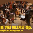 바버, 현을 위한 아다지오 Op. 11 | S. Barber, Adagio for Strings Op. 11 | 다비트 라일란트 이미지