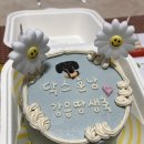 댕스기빙데이 | 몽땅이 10살 생일파티💞