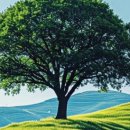 진명에너지 이미지