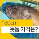 덕우수산 이미지