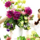 천안연암대학 이미지