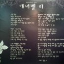 애너벨리 이미지