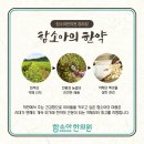 청라함소아한의원 네이버블로그