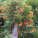 청주문화관 이미지