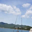 고성섬나들이 이미지